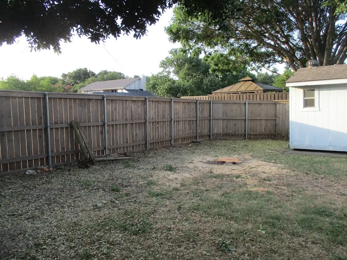 Cleared yard after professional tree removal in Twelve Mile